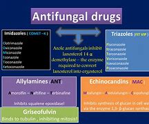 Image result for 4 Types of Drugs