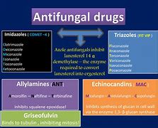 Image result for anti fungal drug