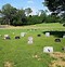 Image result for Mowing Cemetery Inside Rules