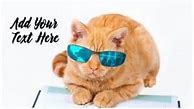 Image result for Funny Animal Wallpaper