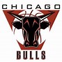 Image result for Chicago Bulls Lettering