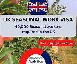 Image result for UK Seasonal Work Visa