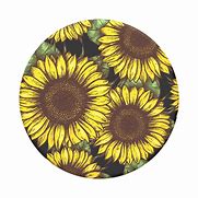 Image result for Popsockets Daisy