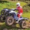Image result for Kawasaki Brute Force 450 Red and Black