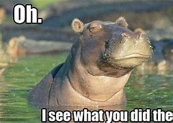 Image result for Funny Hippo Jokes