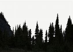 Image result for Forest Silhouette Border