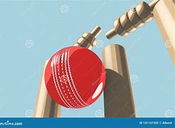 Image result for Wickets Hitting