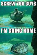 Image result for Memes About Going Home