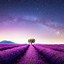 Image result for Galaxy Note 10 Plus Wallpaper