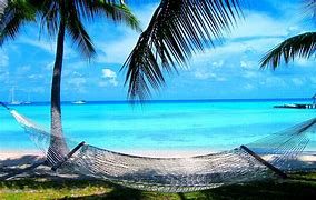 Image result for Summer Wallpaper