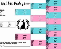 Image result for Rabbit Pedigree Chart