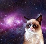 Image result for Kitty Background Meme