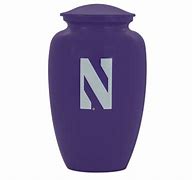 Image result for Northwestern University Students
