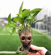 Image result for Groot Planter Pot