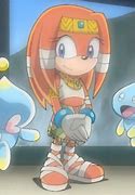 Image result for Tikal the Echidna Bici