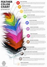 Image result for Feather Color Meaning Chart