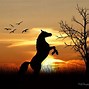 Image result for Horse Scenery Background