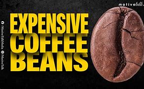 Image result for Expensive Beans