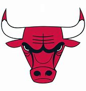 Image result for Chicago Bulls State