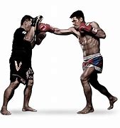 Image result for MMA Punch