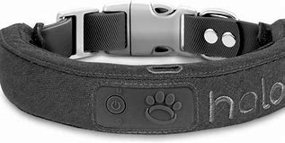 Image result for Halo Dog Collar
