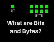 Image result for bytes