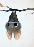 Image result for Small Bat Icon Cute