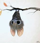 Image result for Cute Bat Hangingstone