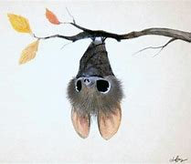 Image result for Bat Art Print