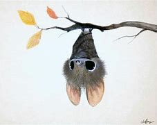 Image result for Easy Bat Drawing