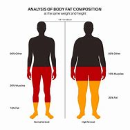 Image result for BMI vs Body Fat