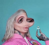 Image result for James Charles Funny Pfpf