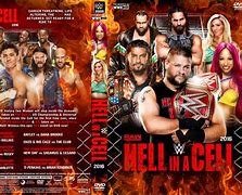 Image result for WWE Hell in a Cell DVD