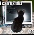 Image result for Young Programmers Meme