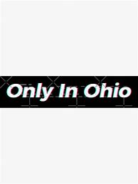 Image result for Ohio Memes Sticker