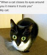 Image result for Cute Funny Memes