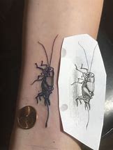 Image result for Small Cricket Tattoo