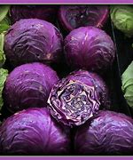 Image result for Lacto-Ovo Vegetarian