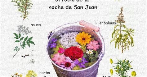Image result for What Was JavaScript Originally Called