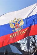Image result for Rusko Srpska Zastava