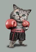 Image result for Boxing Cat Cartoon