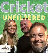 Image result for Cricket Wireless New Logo