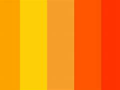 Image result for Orange Color Top