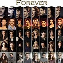 Image result for Twilight Characters Book