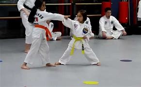 Image result for ATA Taekwondo