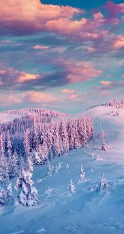 Image result for Winter Scenes Wallpaper iPhone