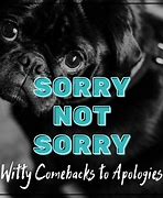 Image result for I AM Sorry Funny