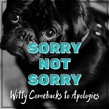 Image result for Funny Sarcastic Sorry Quotes