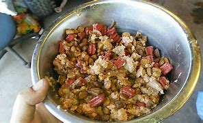 Image result for Raw Diet for Pit Bulls