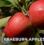 Image result for braeburn apples pies